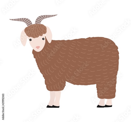 Adorable goat isolated on white background