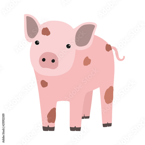 Pink pig or piglet isolated on white background