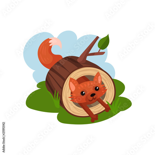 Little fox sitting inside felled tree vector Illustration on a white background