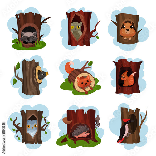 Cute animals and birds sitting in hollow of trees set, hollowed out old trees with fox, owl, hedgehog, raccoon, woodpecker, squirrel animals inside cartoon vector Illustrations