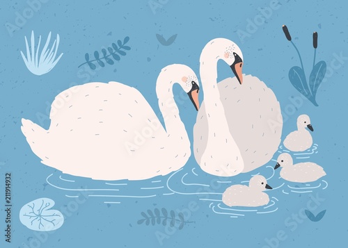 Fotomurale Couple of white swans and brood of cygnets floating together in pond or lake among plants