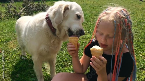 happy life of pets. funny video - beautiful golden retriever and girl eating ice cream in the garden - slow motion