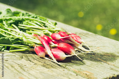 washedup garden radish/washedup garden radish on an old wooden background photo