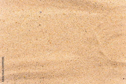 Sandy natural background of sea wild beach