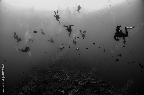 Divers at Elphinstone reef