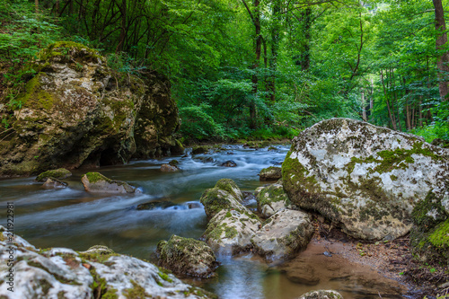 Beautiful mountain stream surrounded by trees and rocks in Serbia, Europe