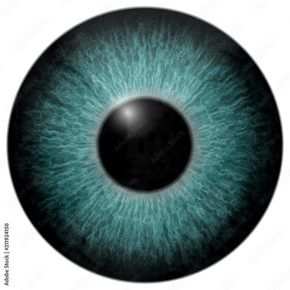 Blue eye 3d, texture with black fringe and white background Blue eye 3d, texture with black fringe and white background