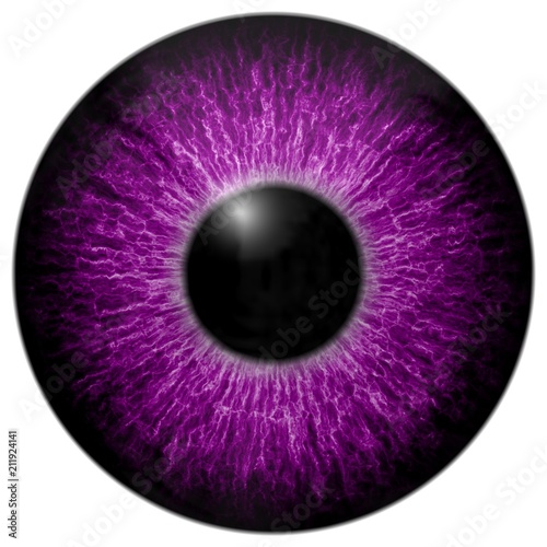 3d purple eye with black fringe and white background