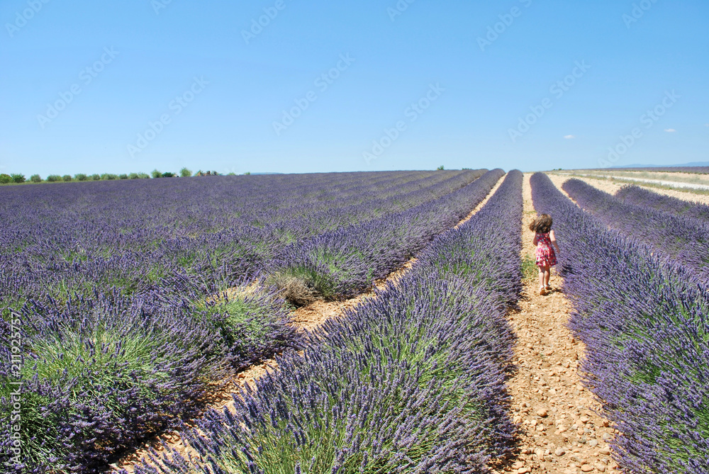 Girl running through a lavender field, Provence, France Girl running through a lavender field, Provence, France