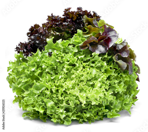 Delicious, fresh oak salad or salad mix. tricolor salad or mixed lettuce, isolated on white background.