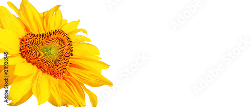 Fototapeta Naklejka Na Ścianę i Meble -  Wunderschöne Sonnenblume mit Form eines Herzens