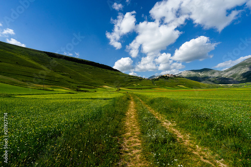 road to castelluccio