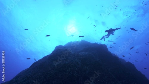 Shark and scuba diver silhouette at sun - view from the deep