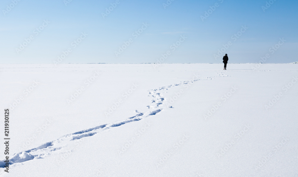 Obraz premium Person walks on frozen sea with snow