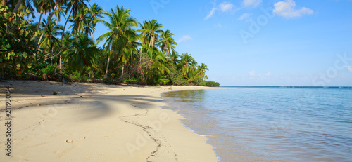 Green palm trees on caribbean beach.