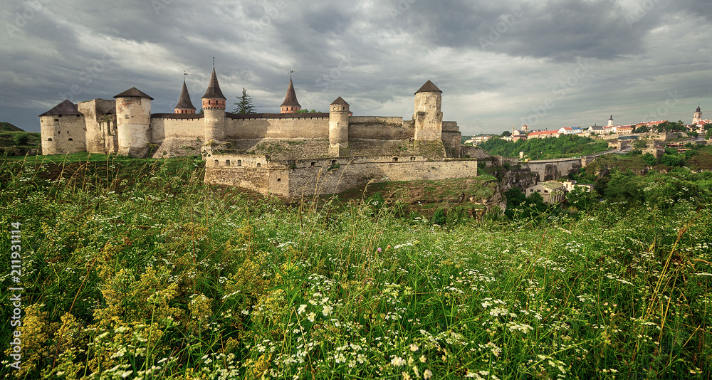 Ancient fortress Kamenetz-Podolsky and wild flowers. Ukraine