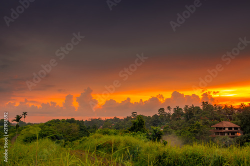 Sunset Clouds over Rainforest