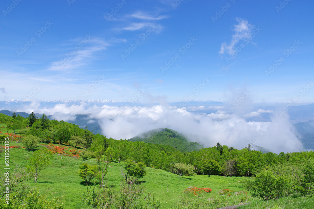 Obraz premium 初夏の美ヶ原高原