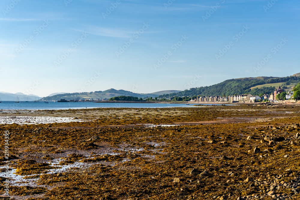 Seaweed & Low Tide Fairlie Ayrshire Scotland.