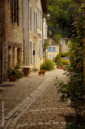 Fototapeta Naklejka Na Ścianę i Meble -  Saint-Jean-de-Cole is a medieval village in the north of the Dordogne, France