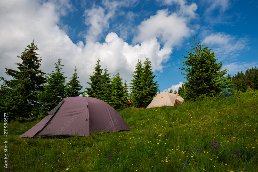 Tents on the green mountain meadow among wildflowers
