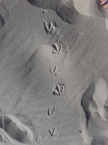 Spuren im Sand