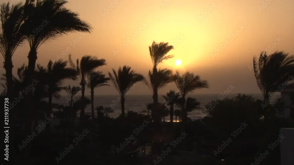 Umbrellas, sun loungers, palms and warm sunrise Umbrellas, sun loungers, palms and warm sunrise