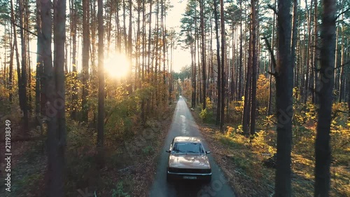Old car rides in forest.