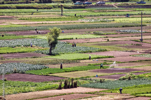 The Vegetable Fields of Almolonga, Guatemala photo