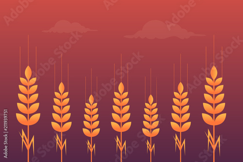 Wheat Field Background. Flat Design Style.