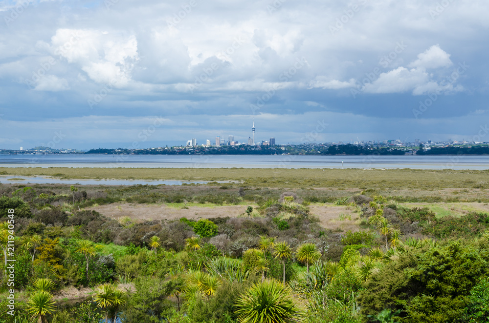Auckland city view from the Waitemata salt marsh,New Zealand.