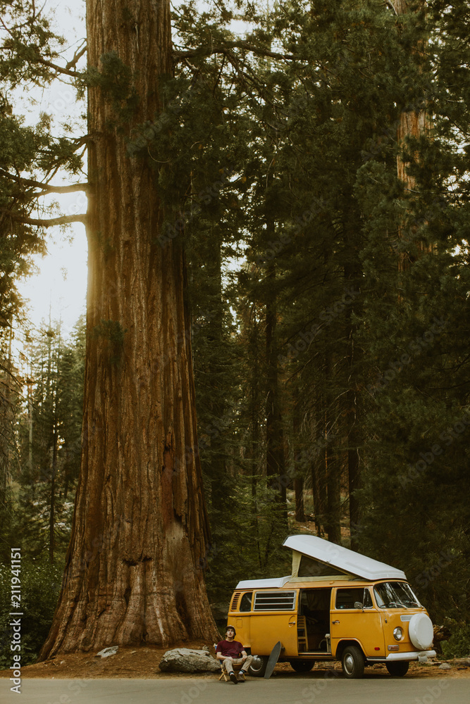 Man sitting by camper van under sequoia tree, Sequoia National Park, California, USA Man sitting by camper van under sequoia tree, Sequoia National Park, California, USA