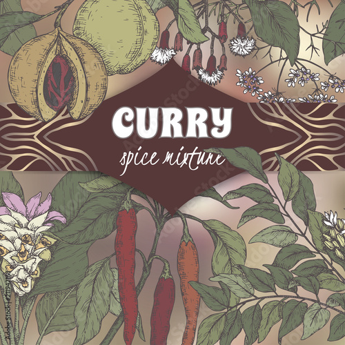 Color curry mixture template with curry tree, turmeric, coriander, chili pepper, clove, nutmeg sketch.