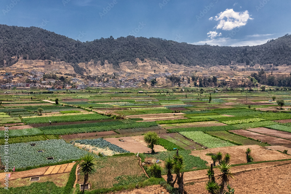 The Vegetable Fields of Almolonga, Guatemala