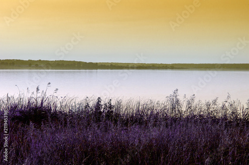 shore of the lake