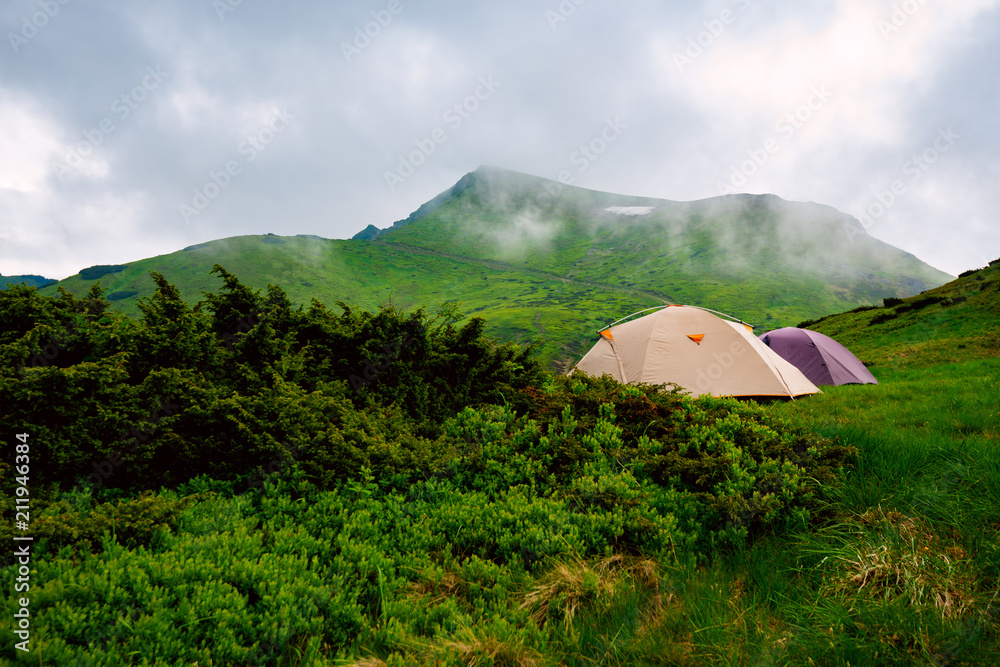 Tents on the green mountain meadow