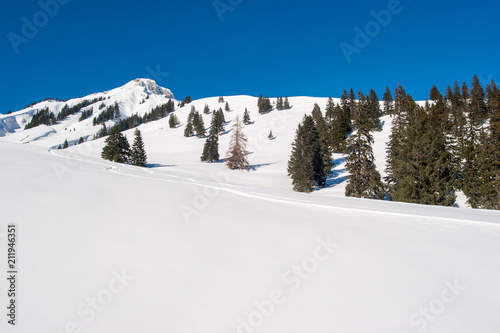 really winter in Achenkirch © Raymond Thill