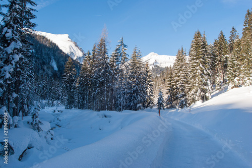 really winter in Achenkirch