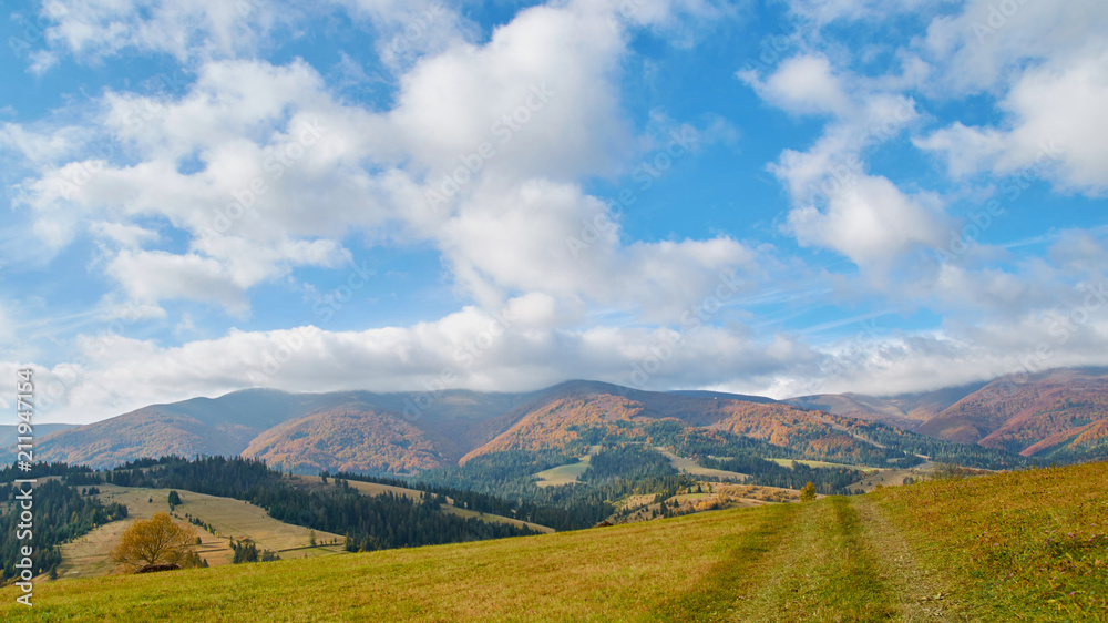 Panorama of green hills, trees and amazing clouds in Carpathian mountains in the autumn. Mountains landscape background. Nature beauty
