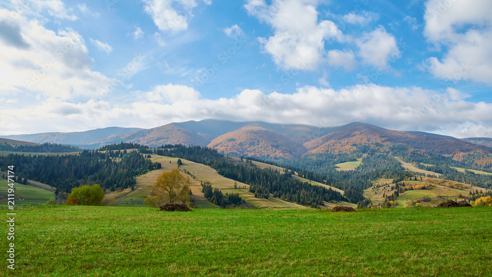 Panorama of green hills and trees in Carpathian mountains in the summer or autumn. Mountains landscape background. Nature beauty