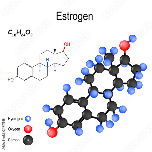 Estrogen (oestrogen, estrone, estradiol, estriol). chemical formula and model of the estradiol molecule
