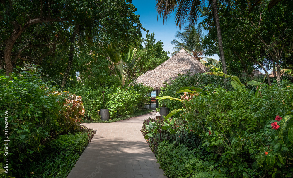 Tropical resort in the island. Green coconut palms and white sand. Vacation on Maldives