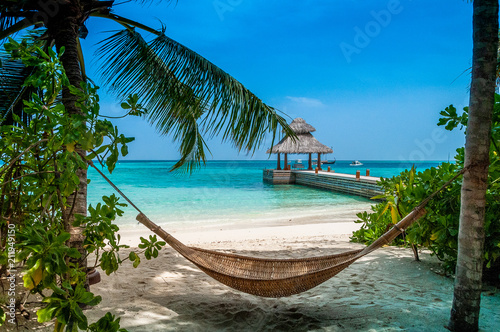 A hammock under the palms on a tropical beach. Vacation deluxe. Enjoy the moment