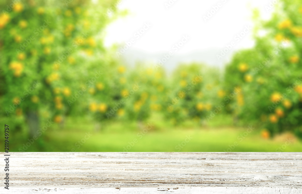 Table background and summer time Table background and summer time