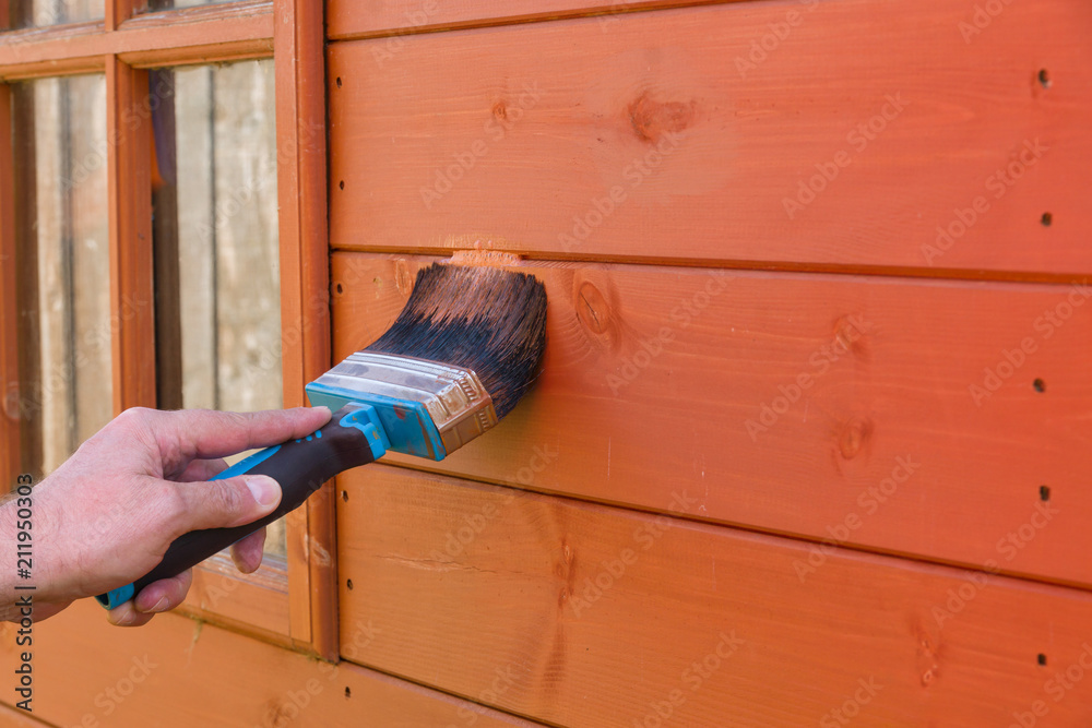 Painting a wooden garden shed with waterproof wood preservative to