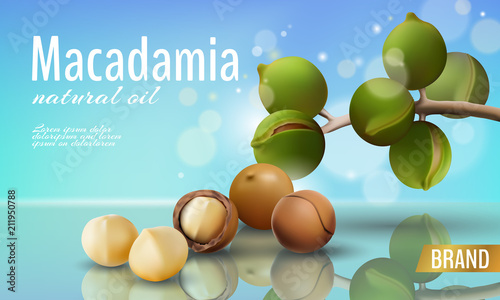 Realistic 3d macadamia nut oil cosmetic shell ad template. Branch leaves nutshell. Light summer sky sunny beauty care. Promotional detailed poster template reflection defocused vector illustration