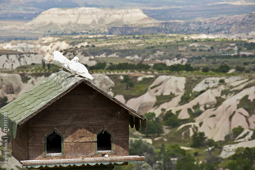 Pigeons on wooden house in Cappadocia Turkey