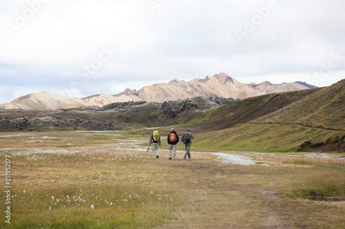 Montagne vulcaniche in Islanda