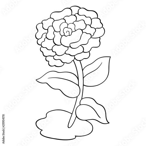 Flower cartoon illustration isolated on white background for children color book