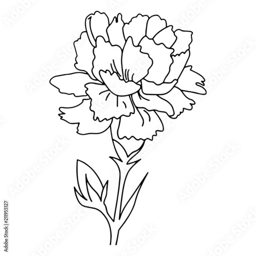 Flower cartoon illustration isolated on white background for children color book